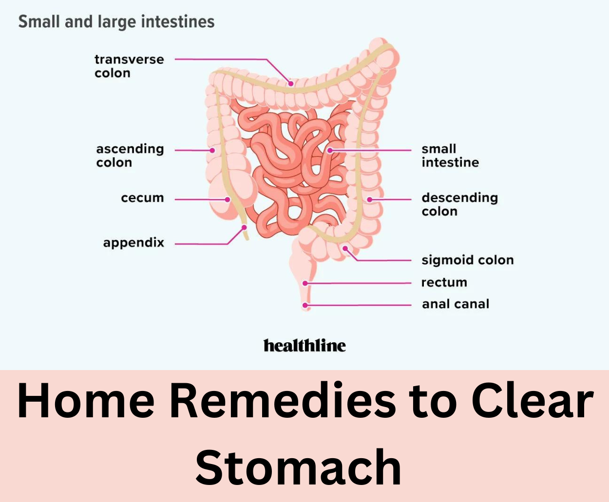 Home remedies to clear stomach