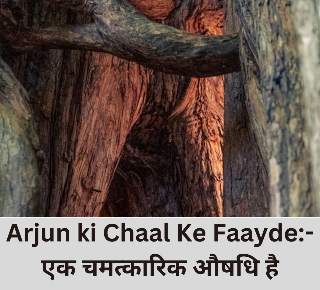 Arjun ki Chaal Ke Faayde