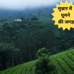 Munnar me ghoomne ki jagah
