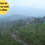 Waynad Tourist Places