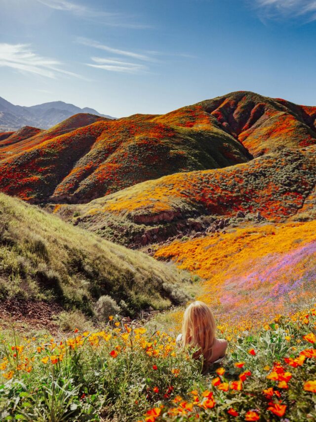 कब तक कश्मीर? भारत की इन 7 जगहों के आगे नीदरलैंड-फ्रांस भी फीके!